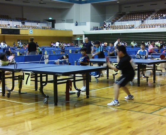 img_20130908-174407.jpg