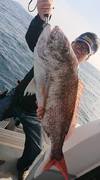 img_20180615-075952.jpg