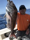 img_20180615-084915.jpg