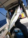 img_20180615-085204.jpg