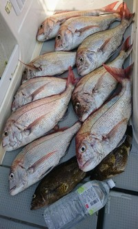 img_20180718-074545.jpg