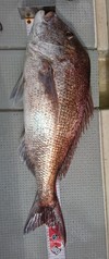 img_20180722-004327.jpg