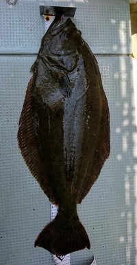 img_20180727-035735.jpg
