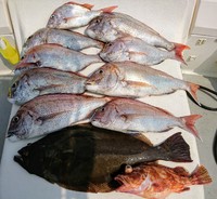 img_20180727-040350.jpg