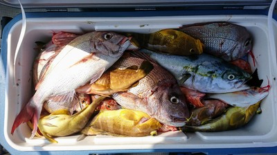 img_20180806-001959.jpg