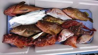 img_20181229-073358.jpg