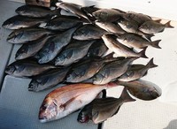 img_20181229-073413.jpg