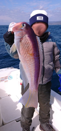 img_20190216-114427.png