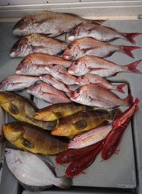 img_20190310-032337.jpg