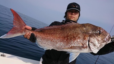 img_20190410-055209.jpg