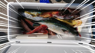 img_20190410-060802.jpg