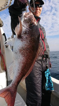 img_20190416-095427.jpg