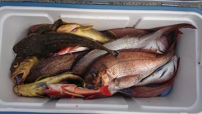 img_20190416-095708.jpg