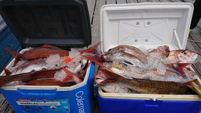 img_20190423-064803.jpg