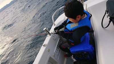 img_20190429-014311.jpg