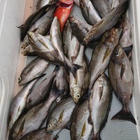 img_20190607-081452.jpg