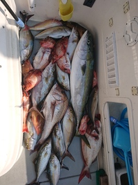 img_20200401-064849.jpg