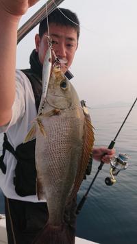 img_20201117-053756.jpg