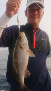 img_20201117-053836.jpg