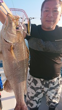 img_20201117-054712.jpg