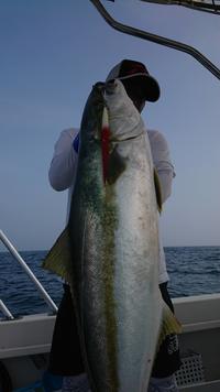 img_20201117-055514.jpg
