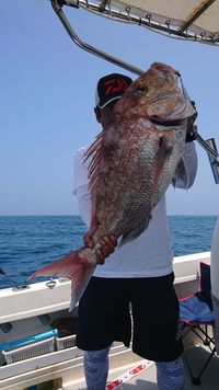 img_20201117-065039.jpg