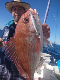 img_20201117-065318.jpg