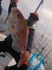 img_20201117-065351.jpg