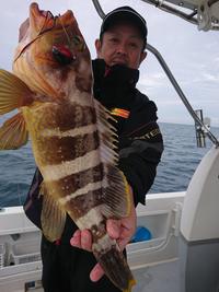 img_20201117-070408.jpg