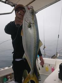img_20201117-070443.jpg