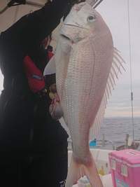 img_20201117-070620.jpg