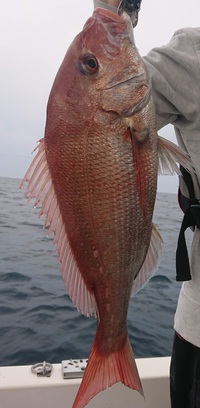 img_20201117-070656.jpg