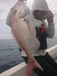 img_20201117-070732.jpg