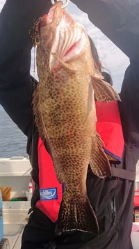 img_20201117-070803.jpg
