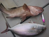 img_20201117-070841.jpg