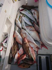 img_20201117-071017.jpg