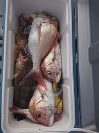 img_20201117-071112.jpg