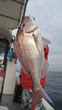 img_20210227-003819.jpg