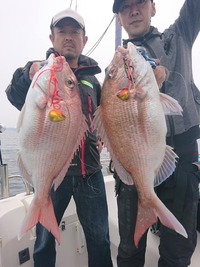 img_20210501-021328.jpg