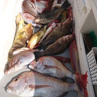 img_20210501-022446.jpg