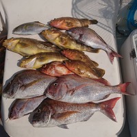 img_20210501-023503.jpg
