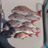 img_20210501-023738.jpg