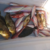 img_20210501-023801.jpg