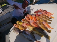 img_20210917-050445.jpg