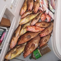 img_20210917-055925.jpg