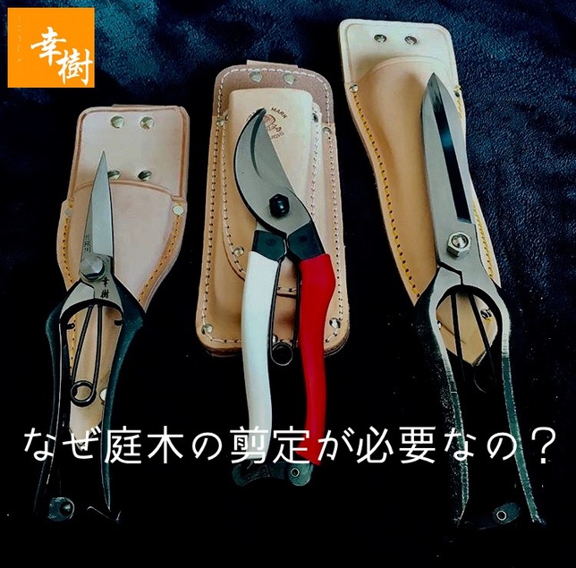 岐阜県中津川市　庭の剪定