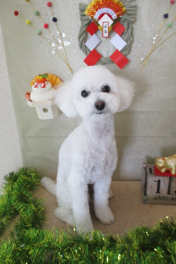 くうちゃん