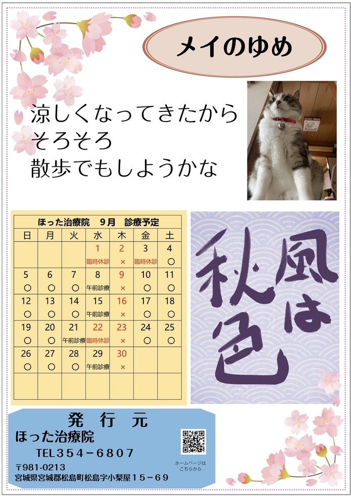 はり きゅう マッサージ 出張治療 ほった治療院 おふぅ