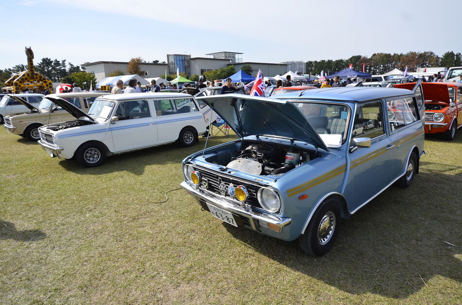 img_20240227-201316.jpg
