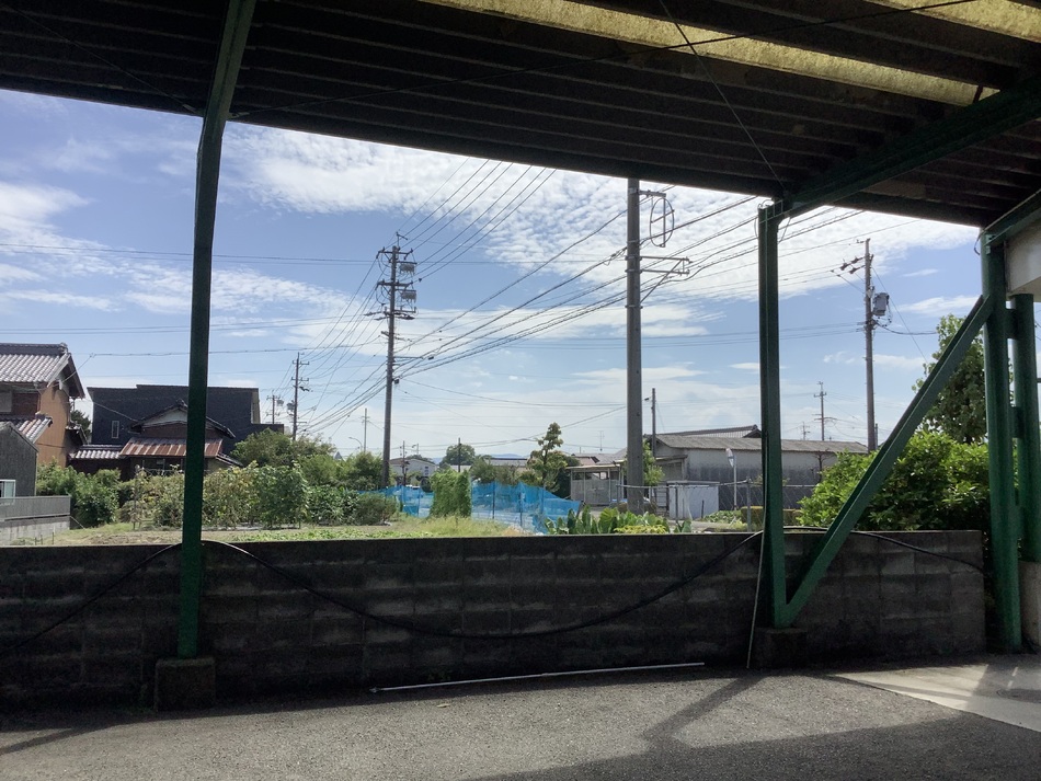 img_20250809-180149.jpg